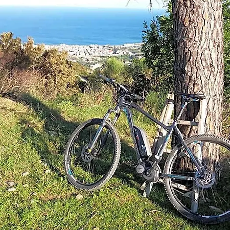 Malibu 3*